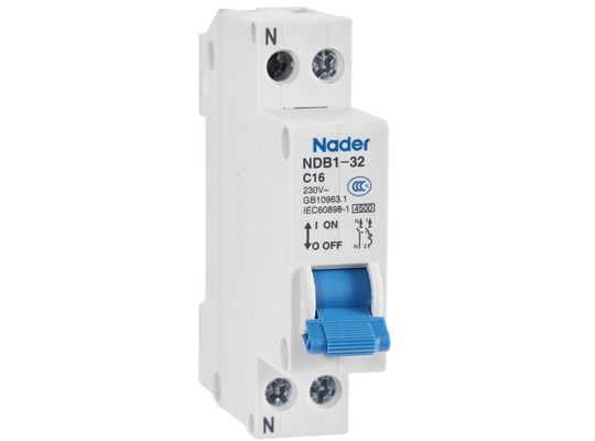NDB1